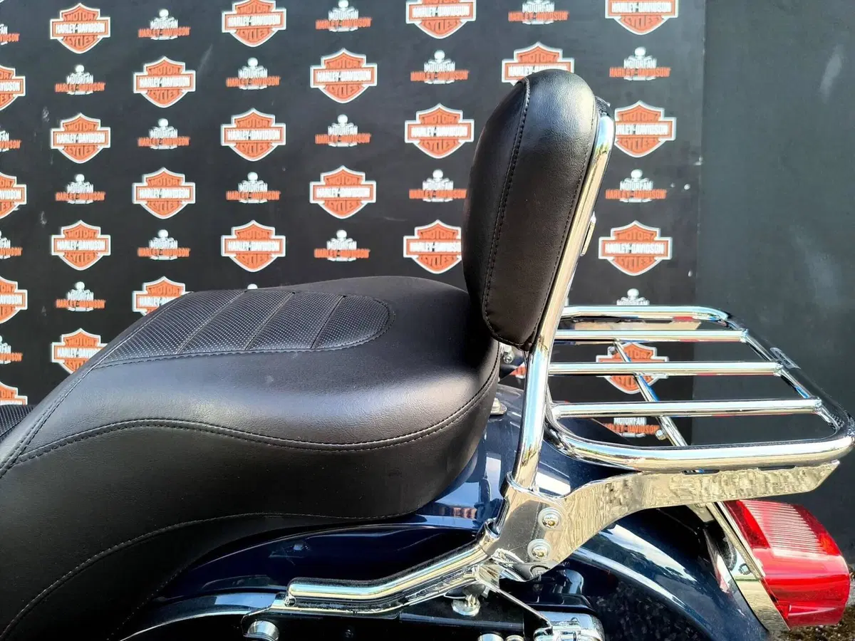 Harley-Davidson 107 Low Rider (2018 - 20) - FXLR (6)