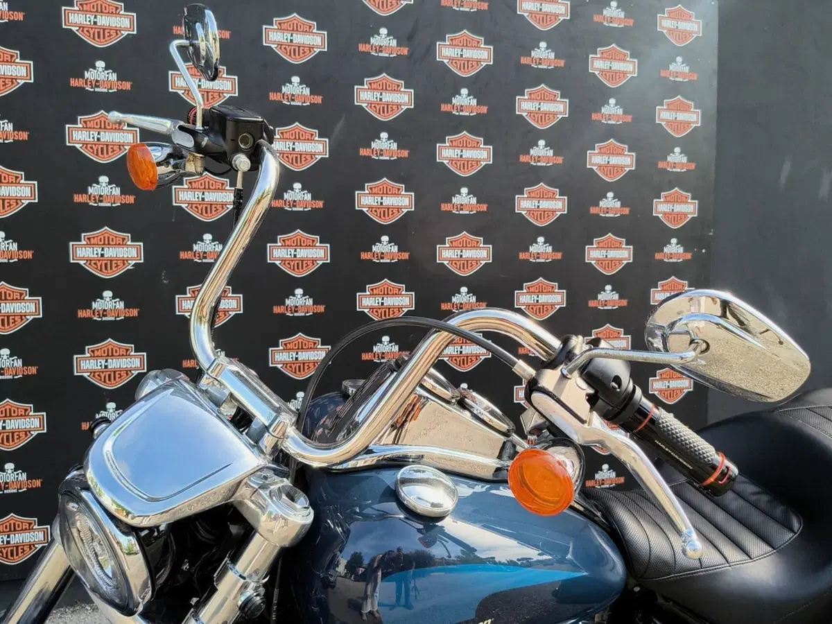 Harley-Davidson 107 Low Rider (2018 - 20) - FXLR (4)