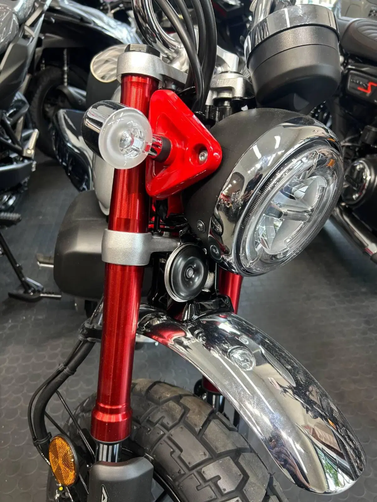 Honda Monkey 125 (2025 - 26) (2)