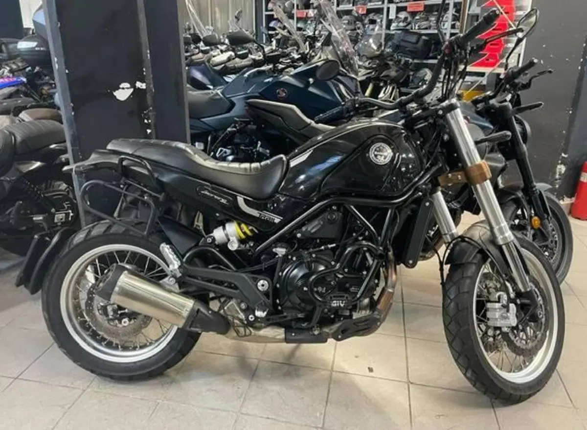 Benelli Leoncino 500 (2021 - 25)