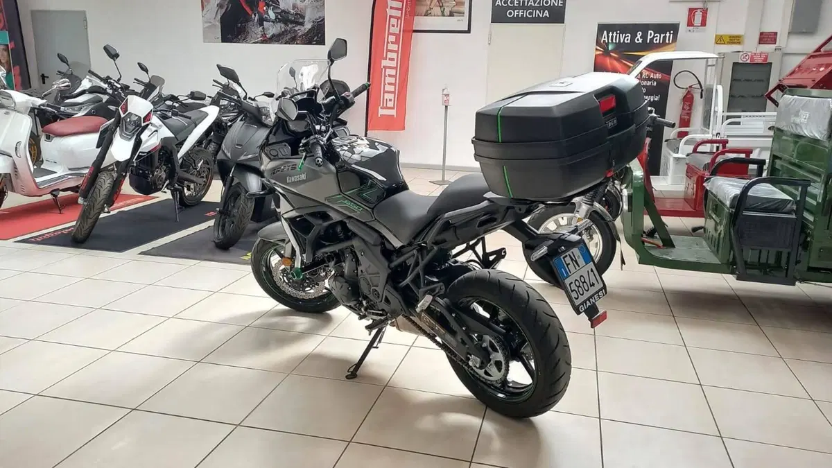 Kawasaki Versys 650 (2025 - 26) (3)