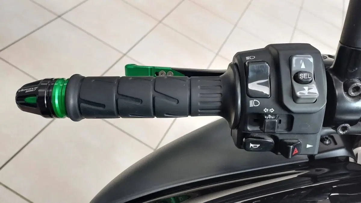 Kawasaki Versys 650 (2025 - 26) (8)