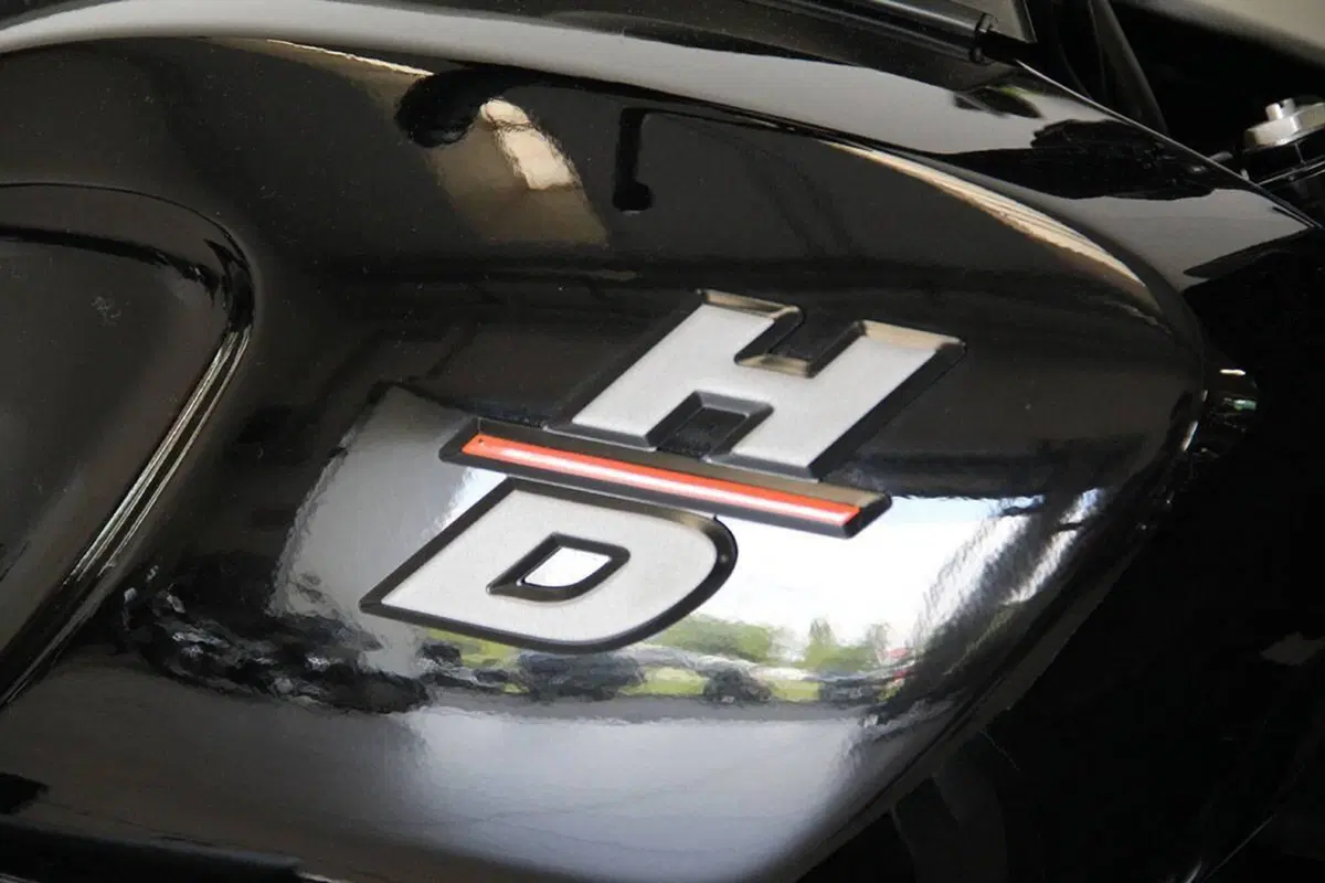 Harley-Davidson Pan America 1250 (2020 - 25) (6)