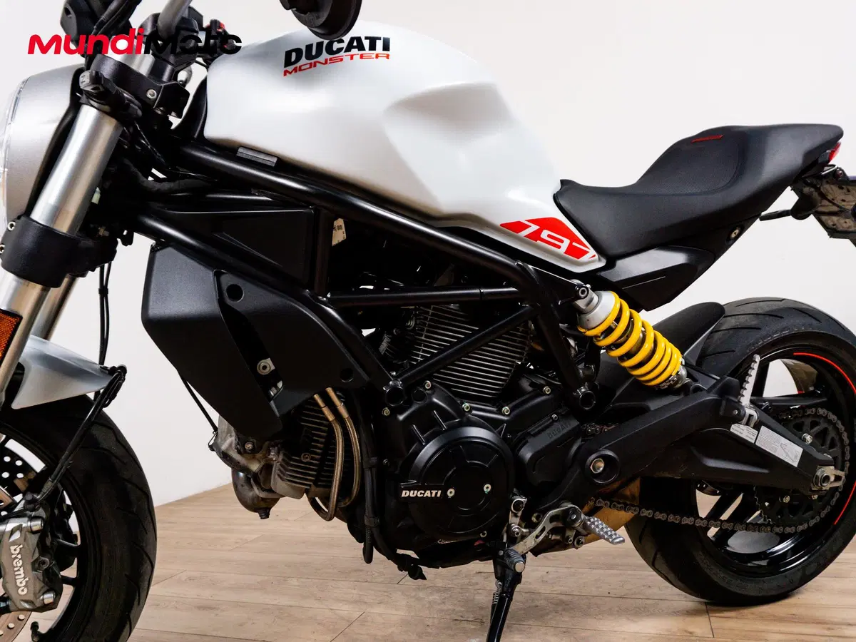 Ducati Monster 797 (2019 - 20) (9)