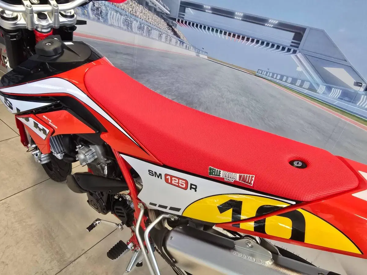 Swm SM 125 R Reborn (2026) (11)