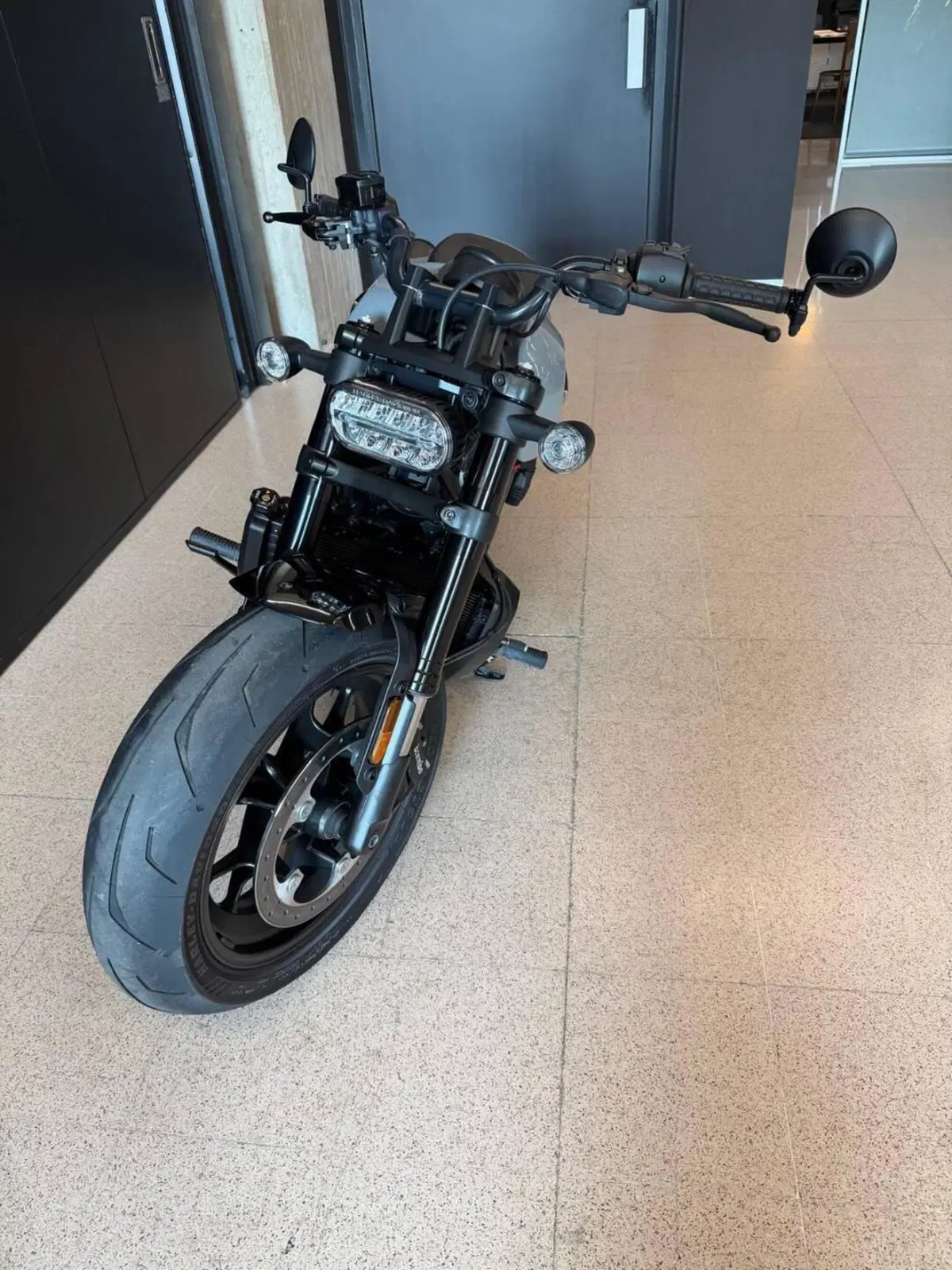 Harley-Davidson Sportster S (2025 - 26) (4)