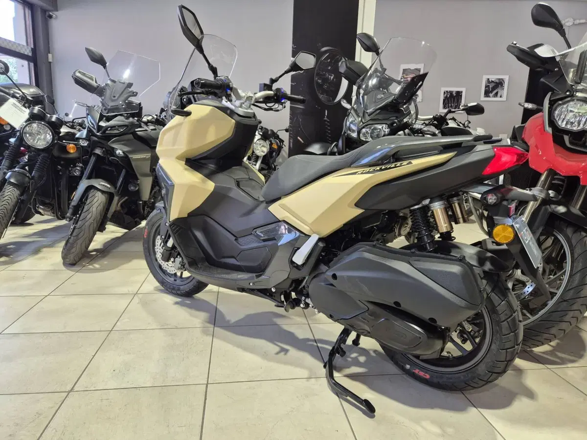 Um Italia Rockville 300 (2025 - 26) (7)