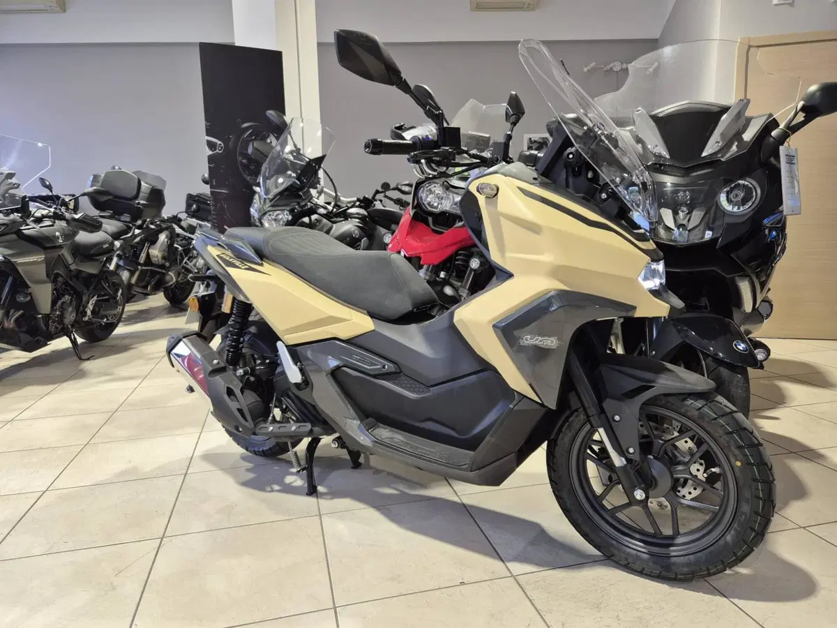 Um Italia Rockville 300 (2025 - 26) (2)