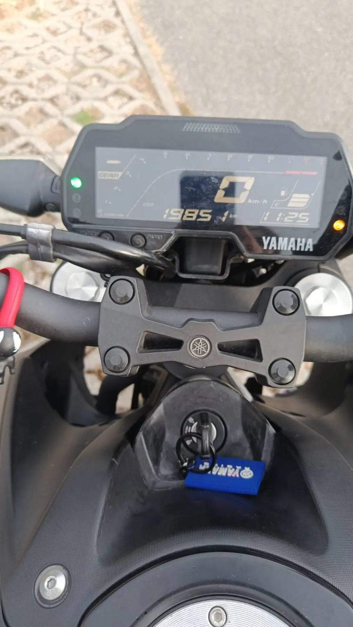 Yamaha MT-125 (2021 - 24) (8)