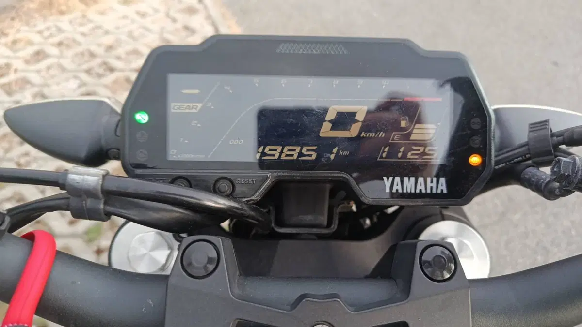 Yamaha MT-125 (2021 - 24) (9)