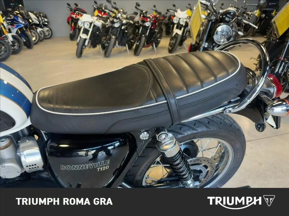 Triumph Bonneville T120 (2016 - 20) (13)