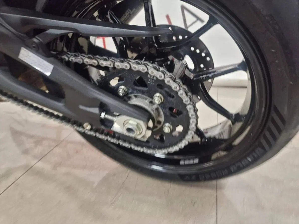 Ducati Monster 937 SP (2023 - 25) (14)