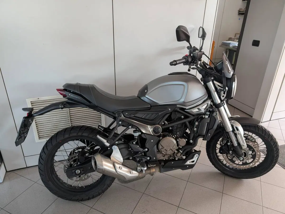 Voge Trofeo 300ACX Scrambler (2021 - 26) (6)