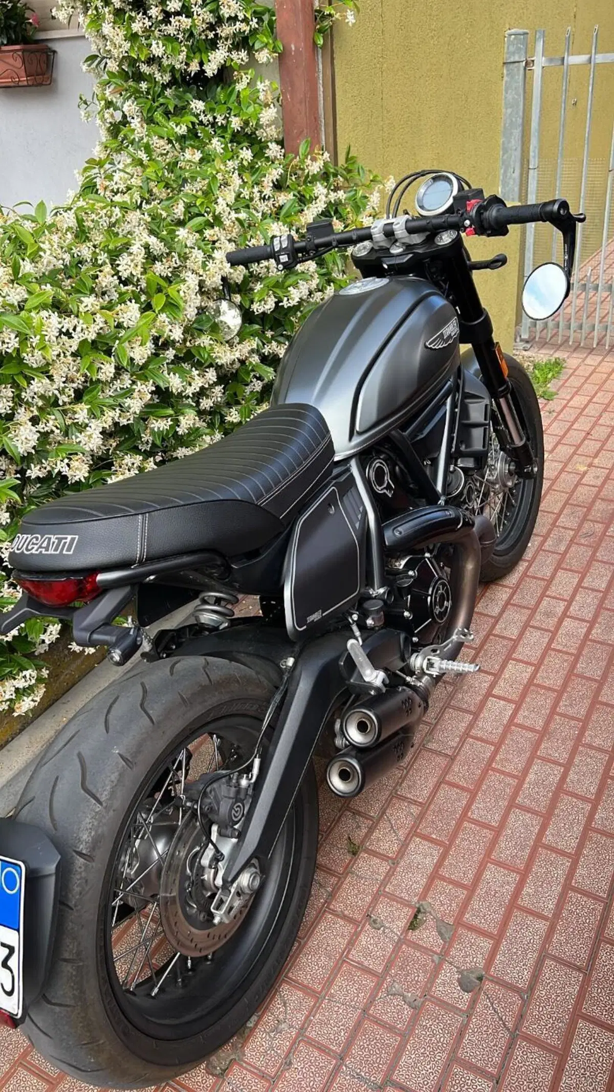 Ducati Scrambler 800 Nightshift (2023 - 24) (2)