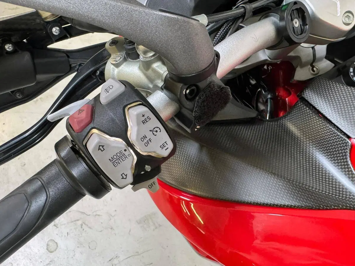Ducati Multistrada 950 S (2019 - 20) (7)