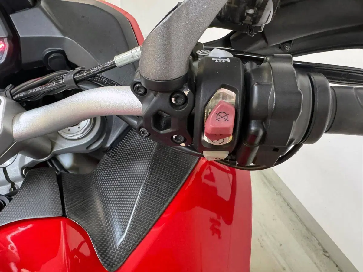 Ducati Multistrada 950 S (2019 - 20) (8)