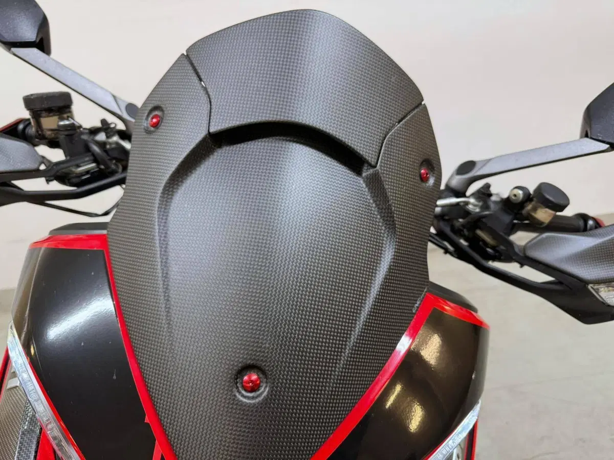 Ducati Multistrada 950 S (2019 - 20) (16)