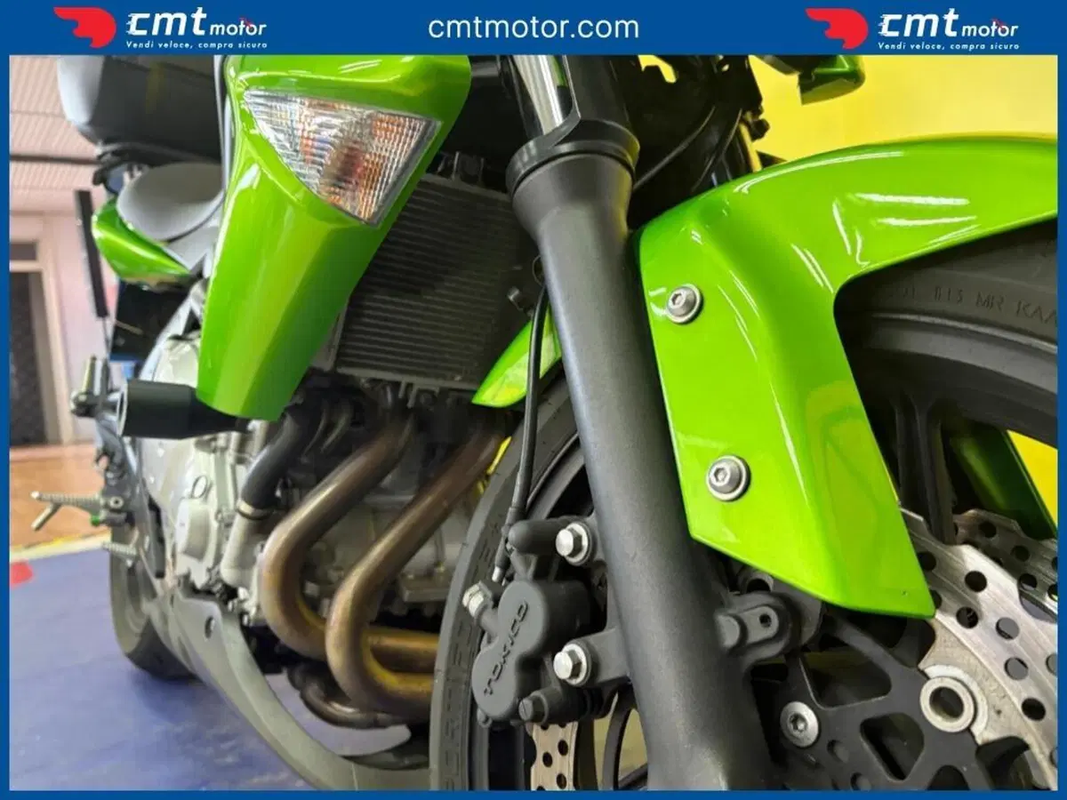 Kawasaki ER-6N (2006 - 09) (8)