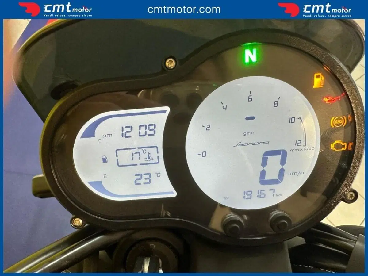 Benelli Leoncino 500 (2021 - 25) (5)