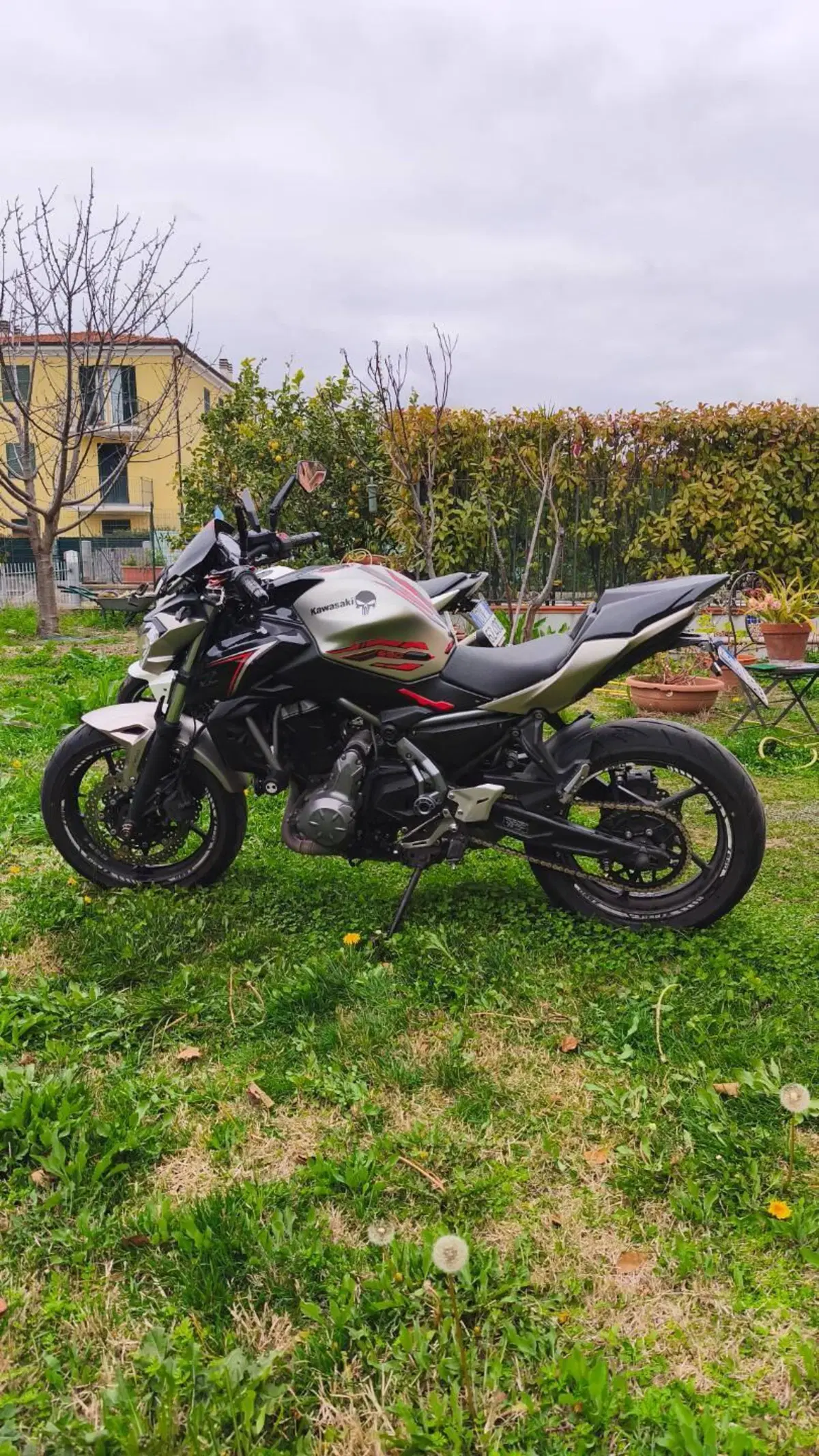 Kawasaki Z 650 (2017 - 19)