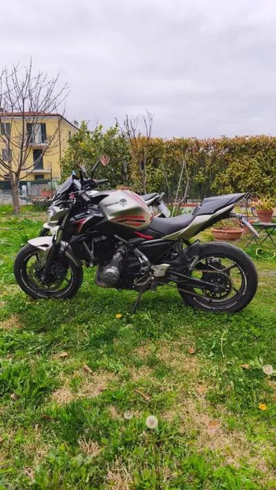 Kawasaki Z 650 (2017 - 19) usata