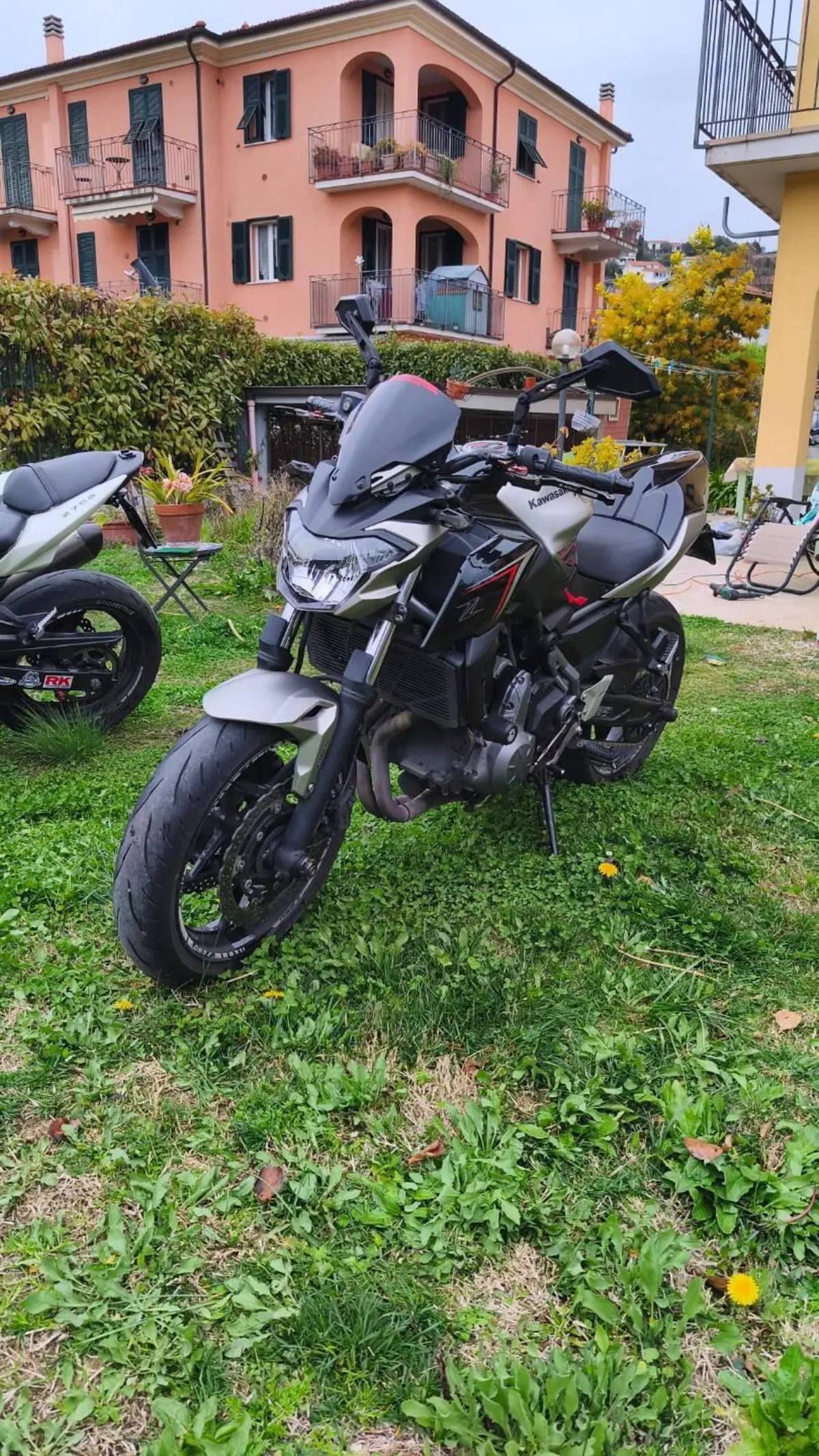 Kawasaki Z 650 (2017 - 19) (3)