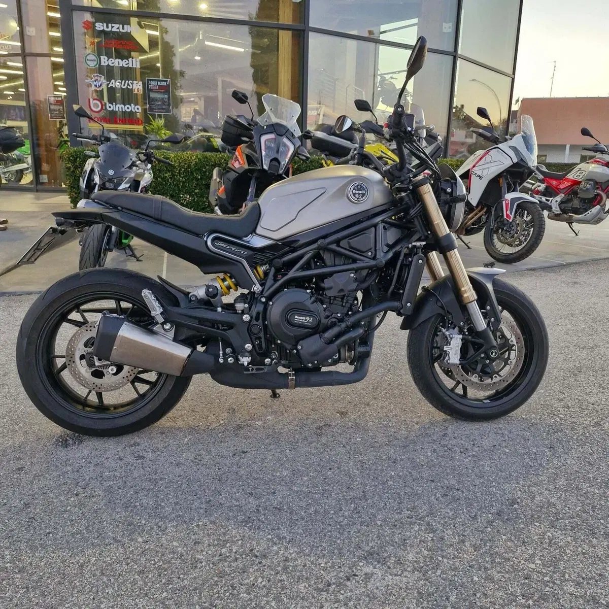 Benelli Leoncino 800 (2022 - 26) (3)