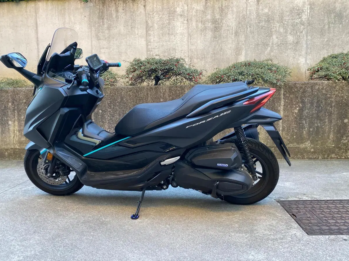 Honda Forza 350 Deluxe (2022 - 24) (2)