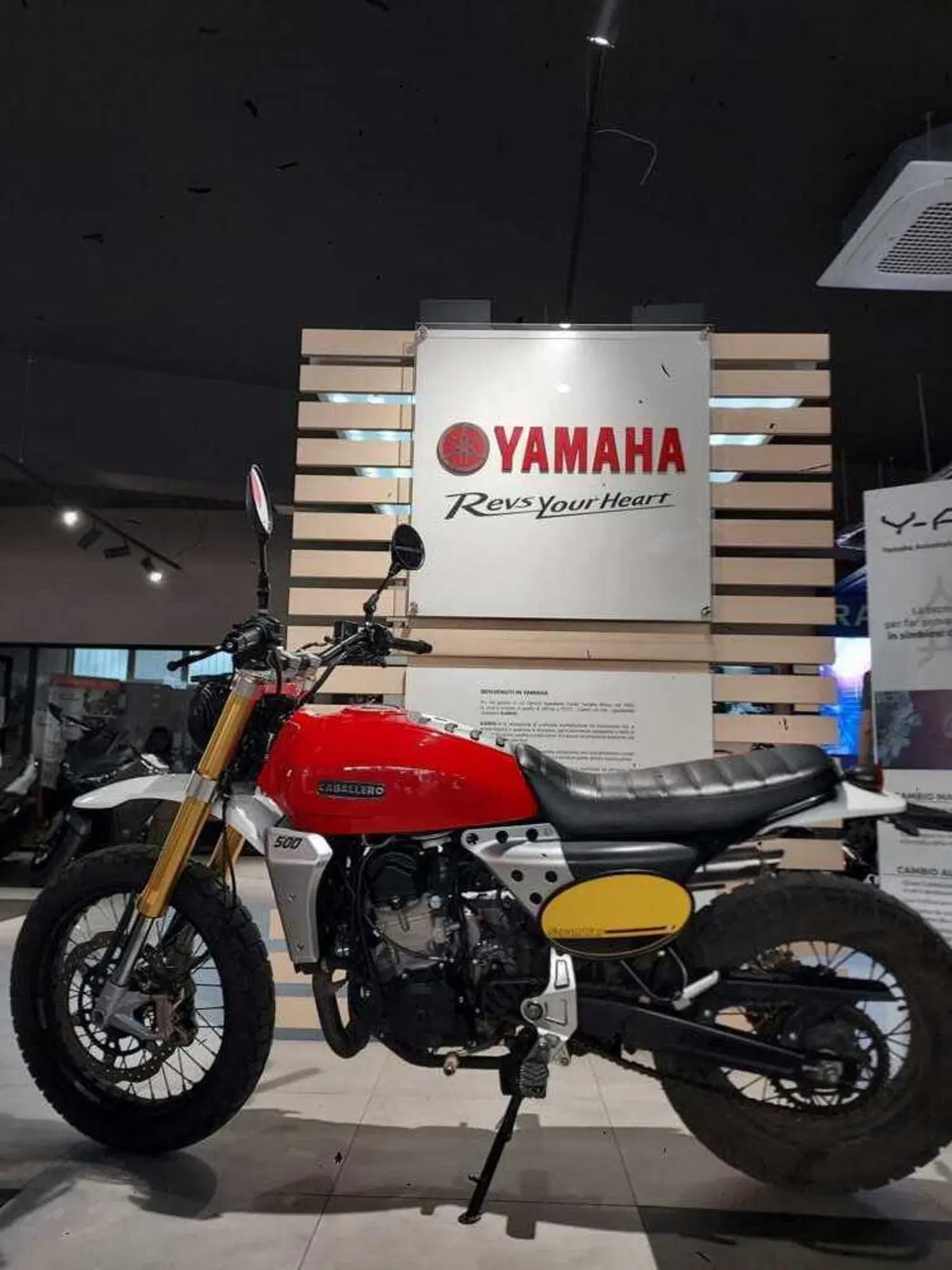 Fantic Motor Caballero 500 Scrambler (2024) (6)