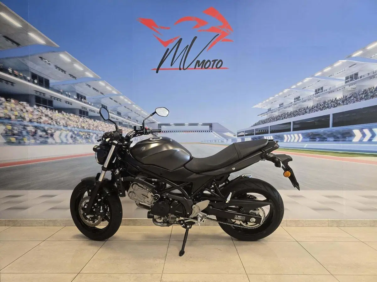 Suzuki SV 650 (2016 - 20) (3)