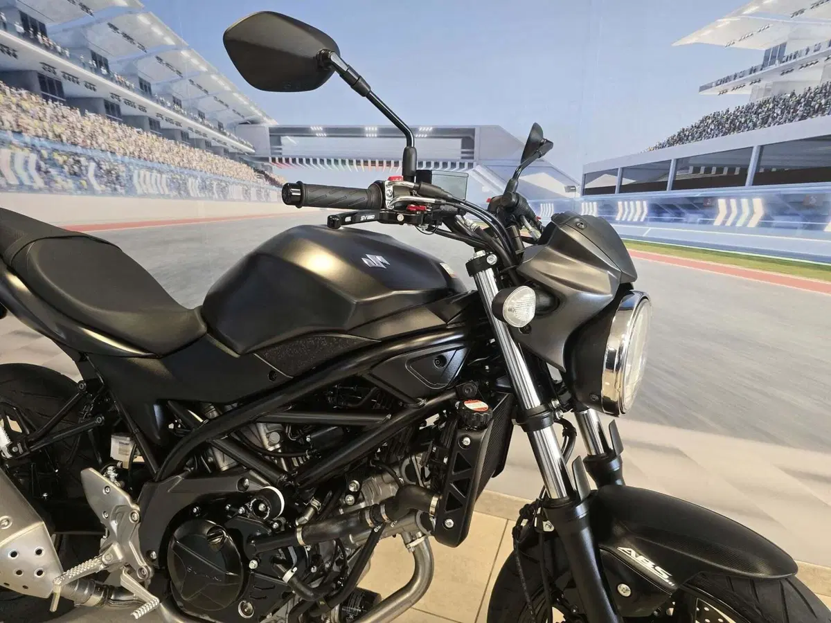 Suzuki SV 650 (2016 - 20) (14)