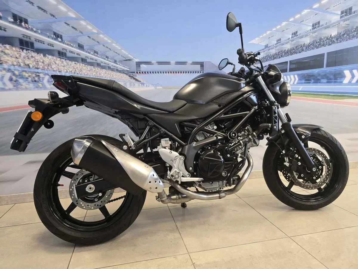 Suzuki SV 650 (2016 - 20) (16)