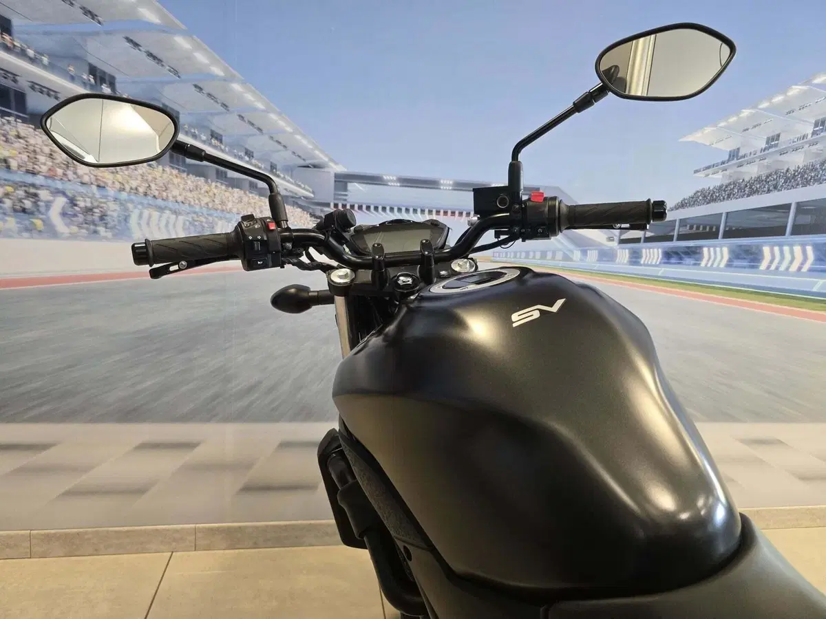 Suzuki SV 650 (2016 - 20) (19)