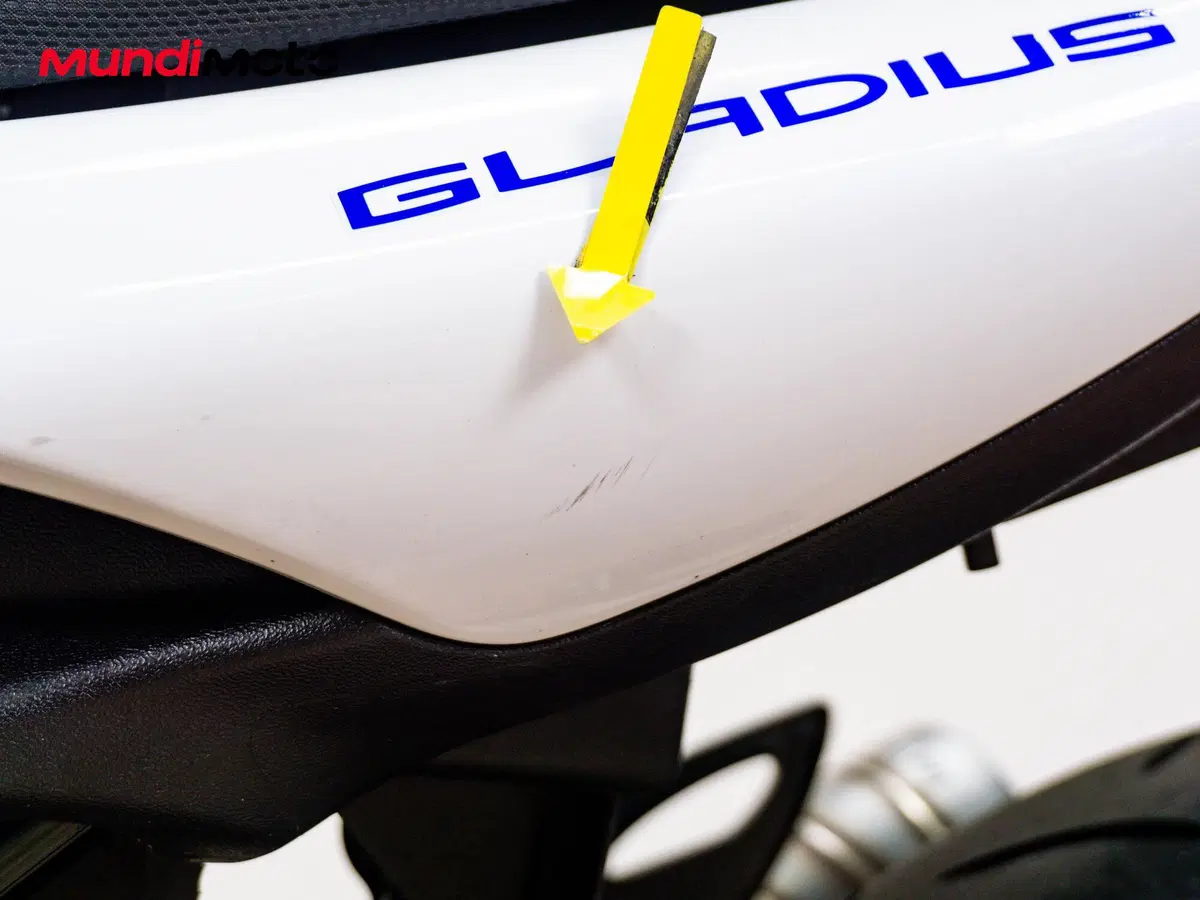 Suzuki Gladius 650 SFV (2009 - 15) (13)