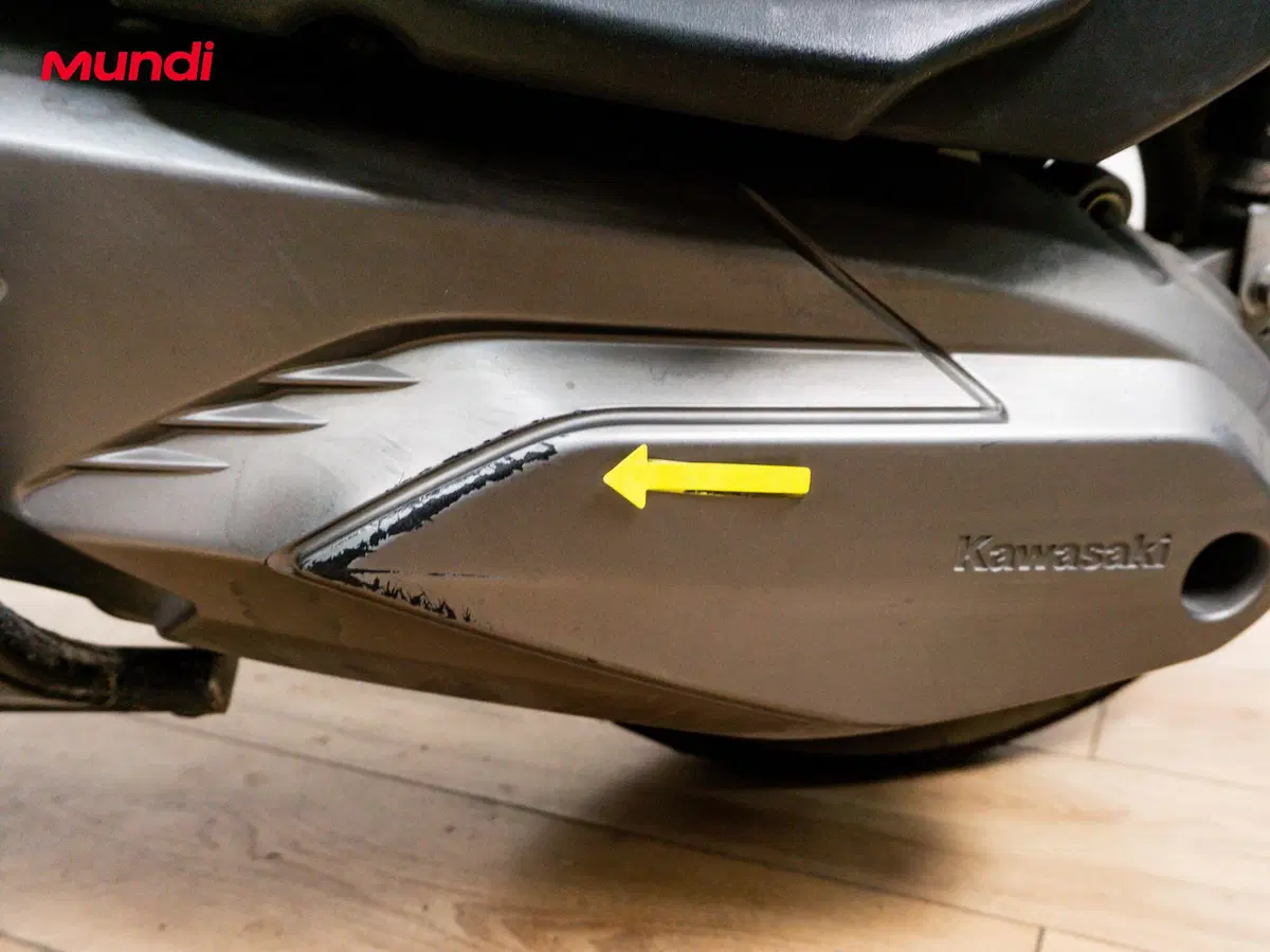 Kawasaki J 300 ABS (2014 - 16) (16)