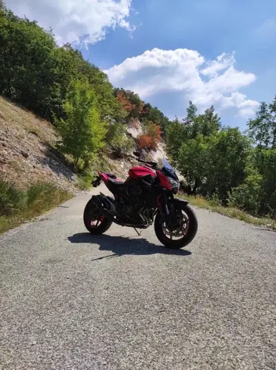 Kawasaki Z 800 e ABS (2012 - 16) usata