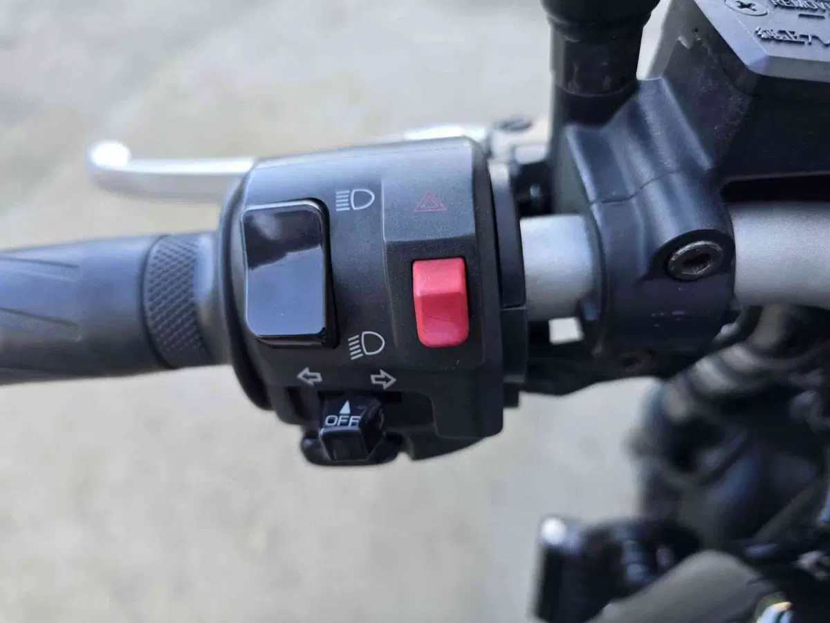 Yamaha XJR 1300 (2015 - 17) (22)