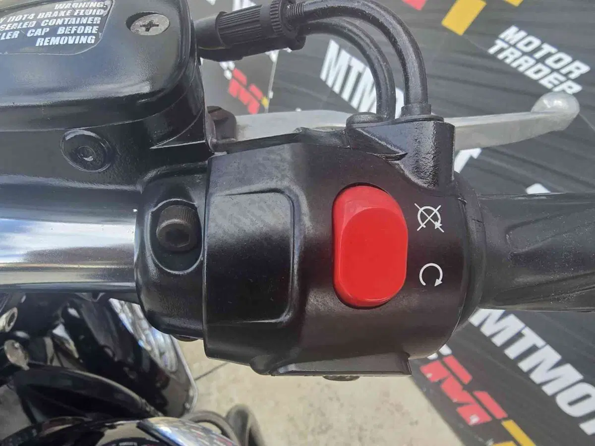Triumph Bonneville (2007 - 16) (14)