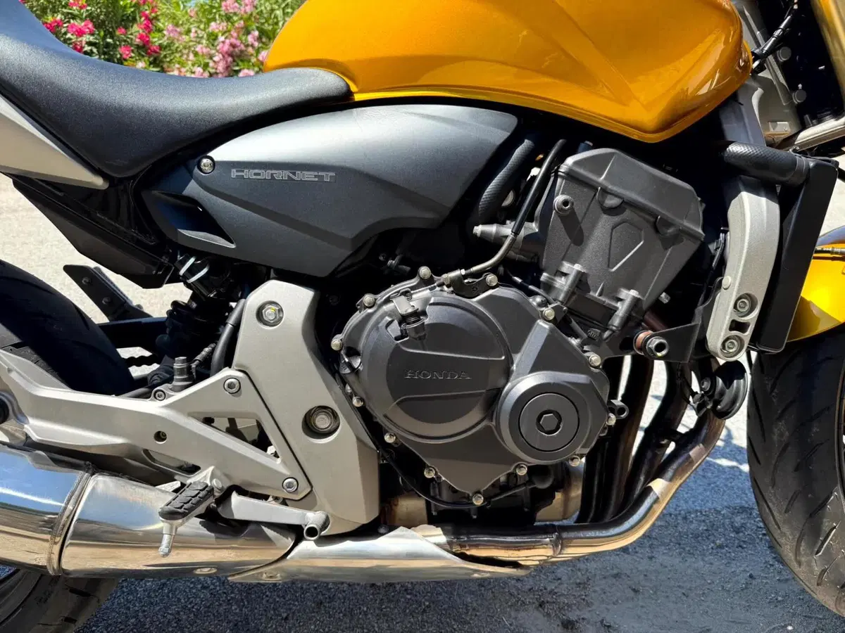 Honda CBR 600 F (2001 - 06) (9)
