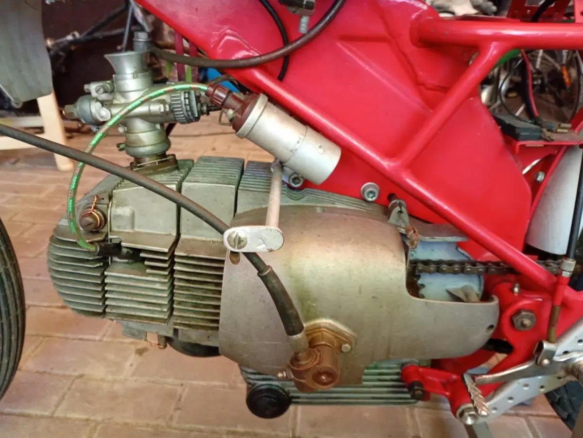 Motobi Zanzani (9)