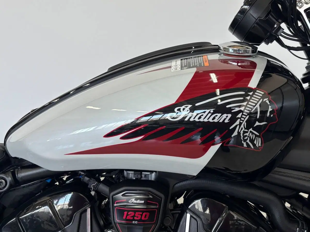 Indian Scout 1250 101 (2025 - 26) (2)