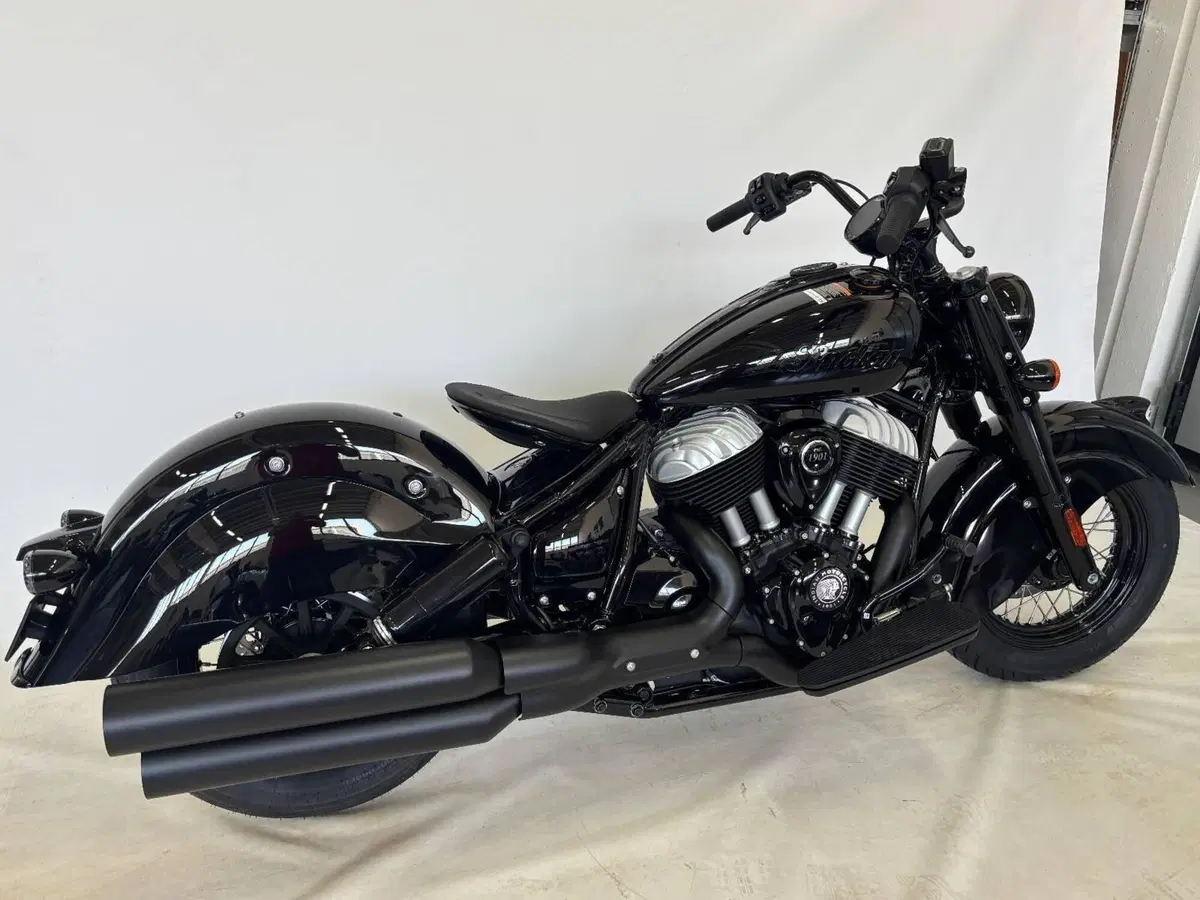 Indian Chief Vintage (2026) (4)