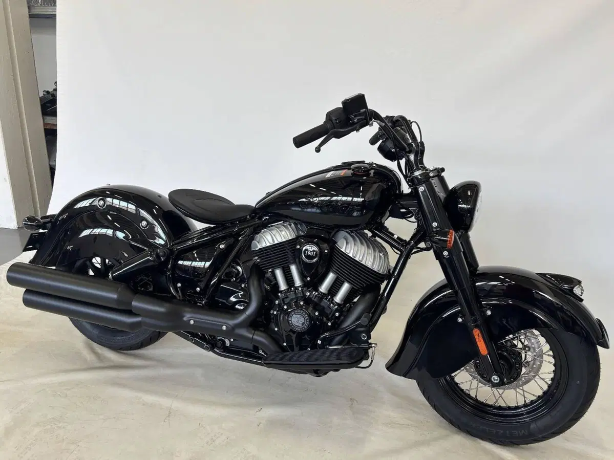 Indian Chief Vintage (2026) (5)