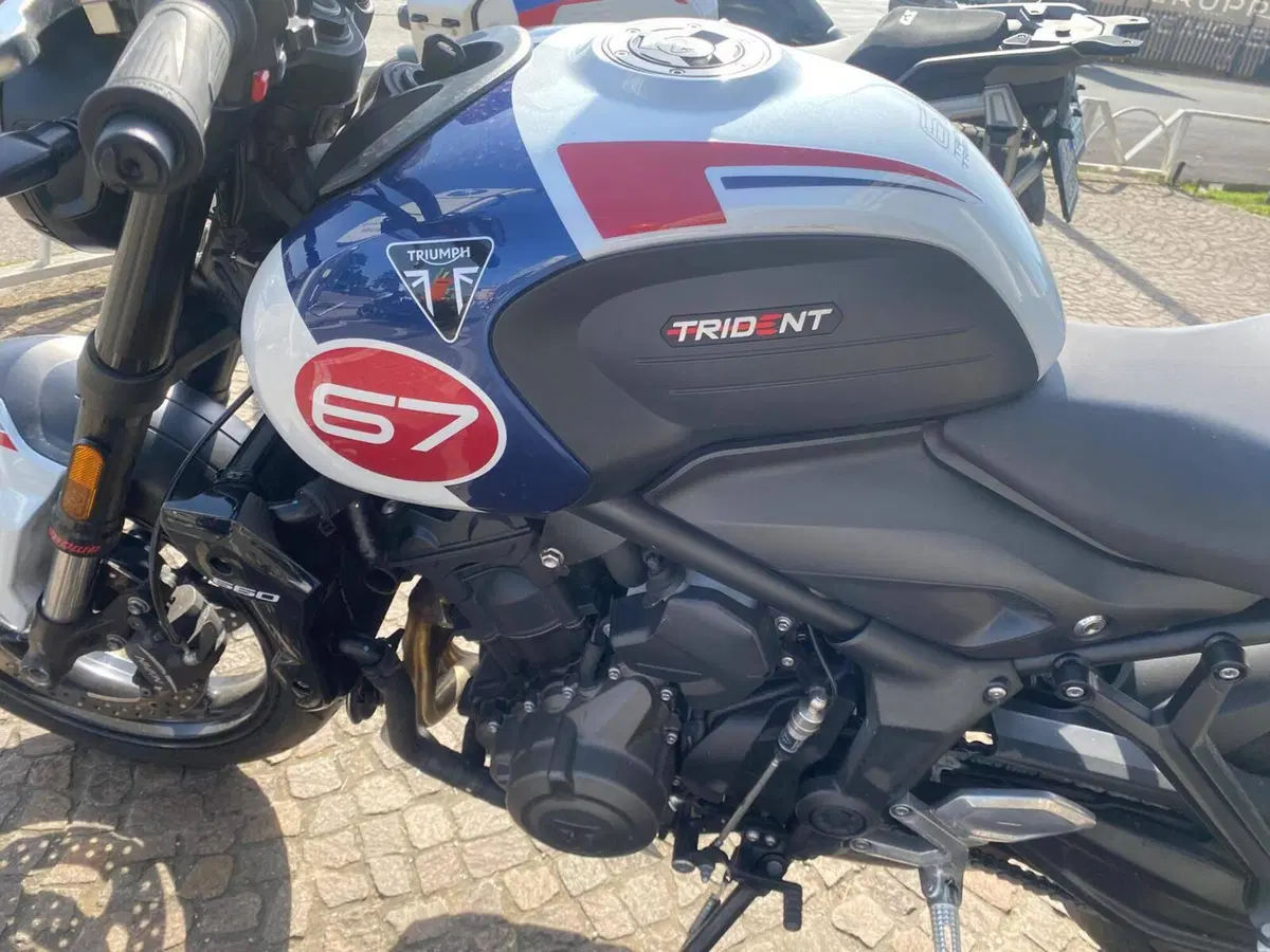 Triumph Trident 660 Triple Tribute Edition (2024) (5)