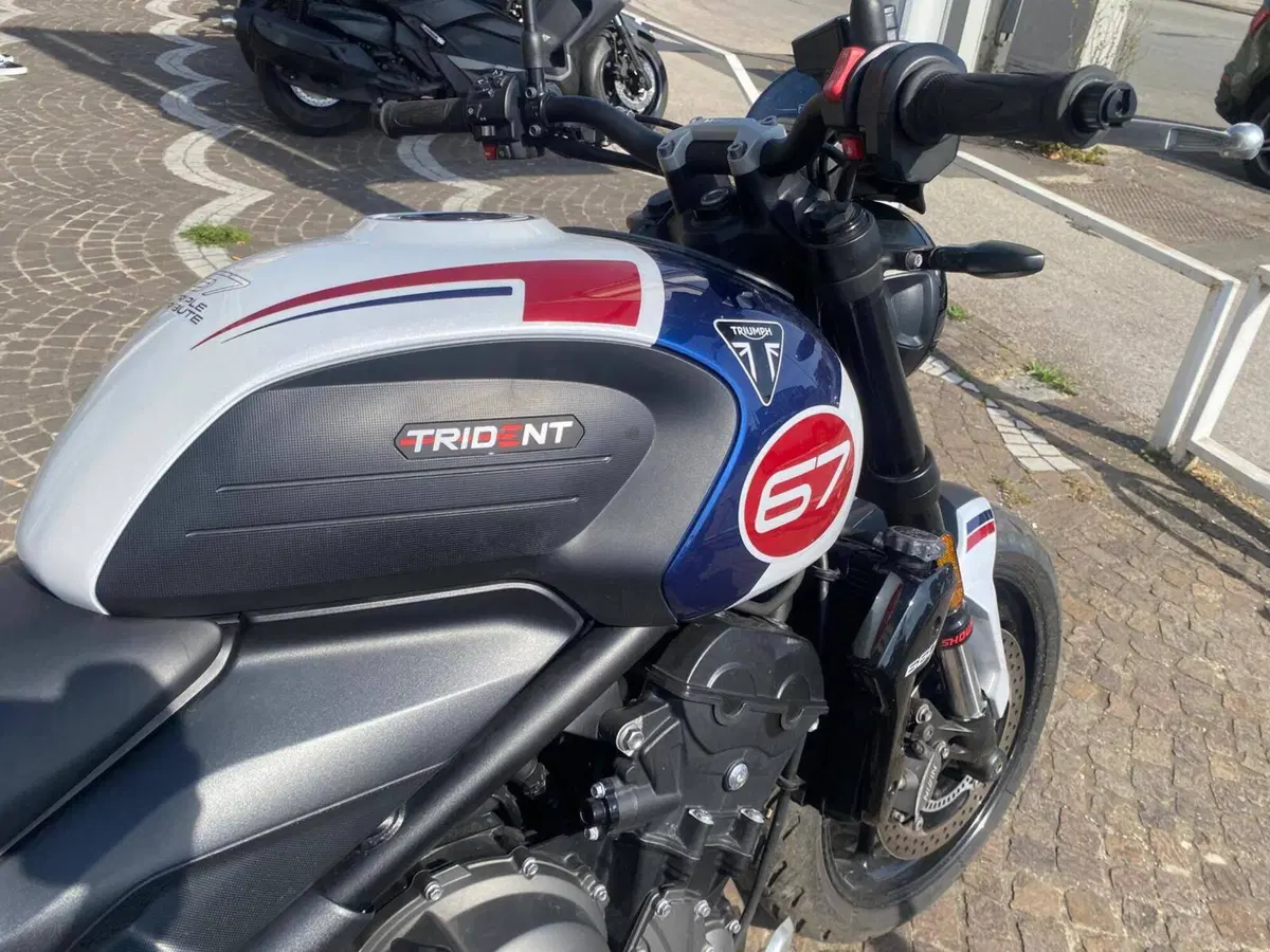 Triumph Trident 660 Triple Tribute Edition (2024) (6)