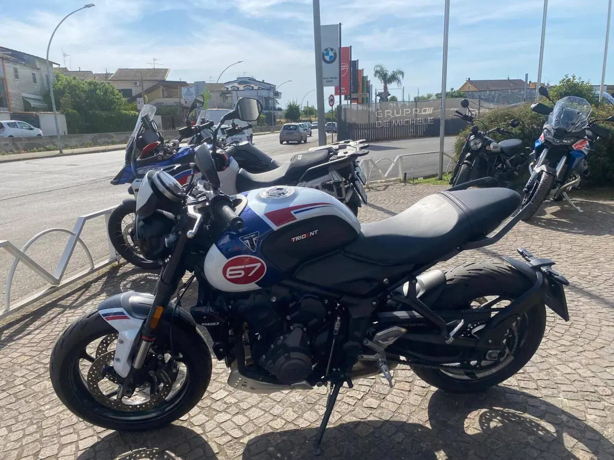 Triumph Trident 660 Triple Tribute Edition (2024) (2)