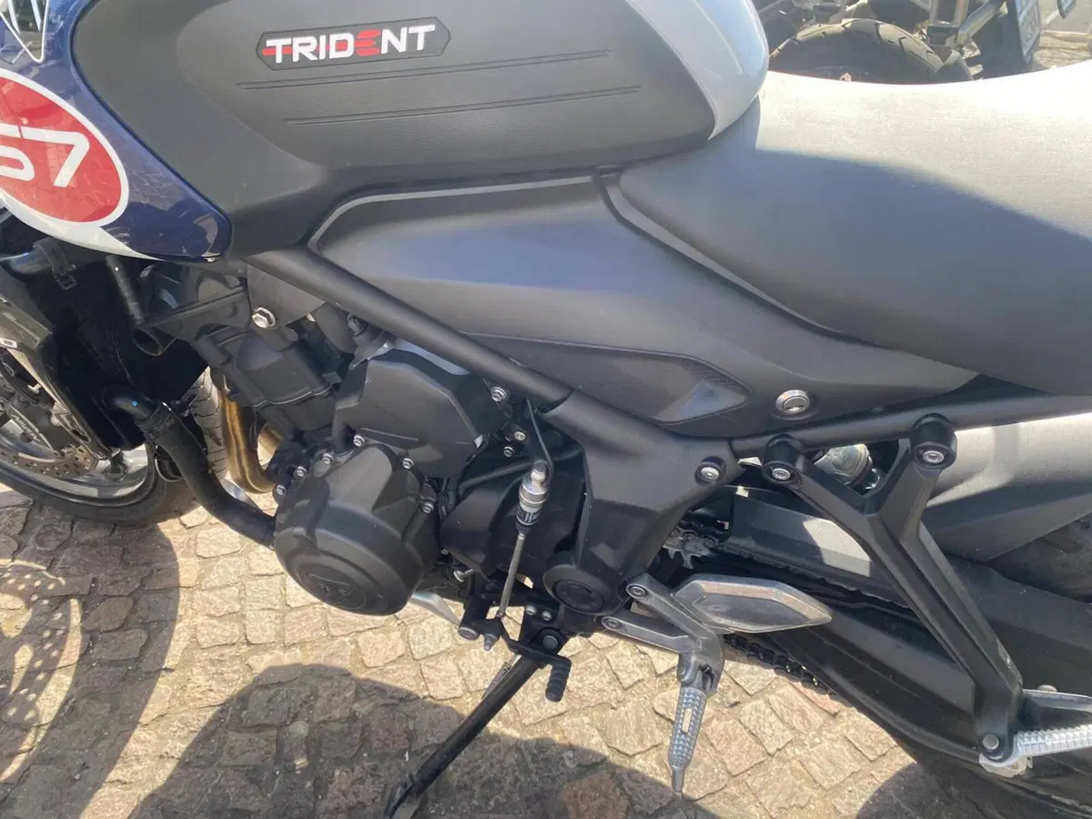 Triumph Trident 660 Triple Tribute Edition (2024) (7)