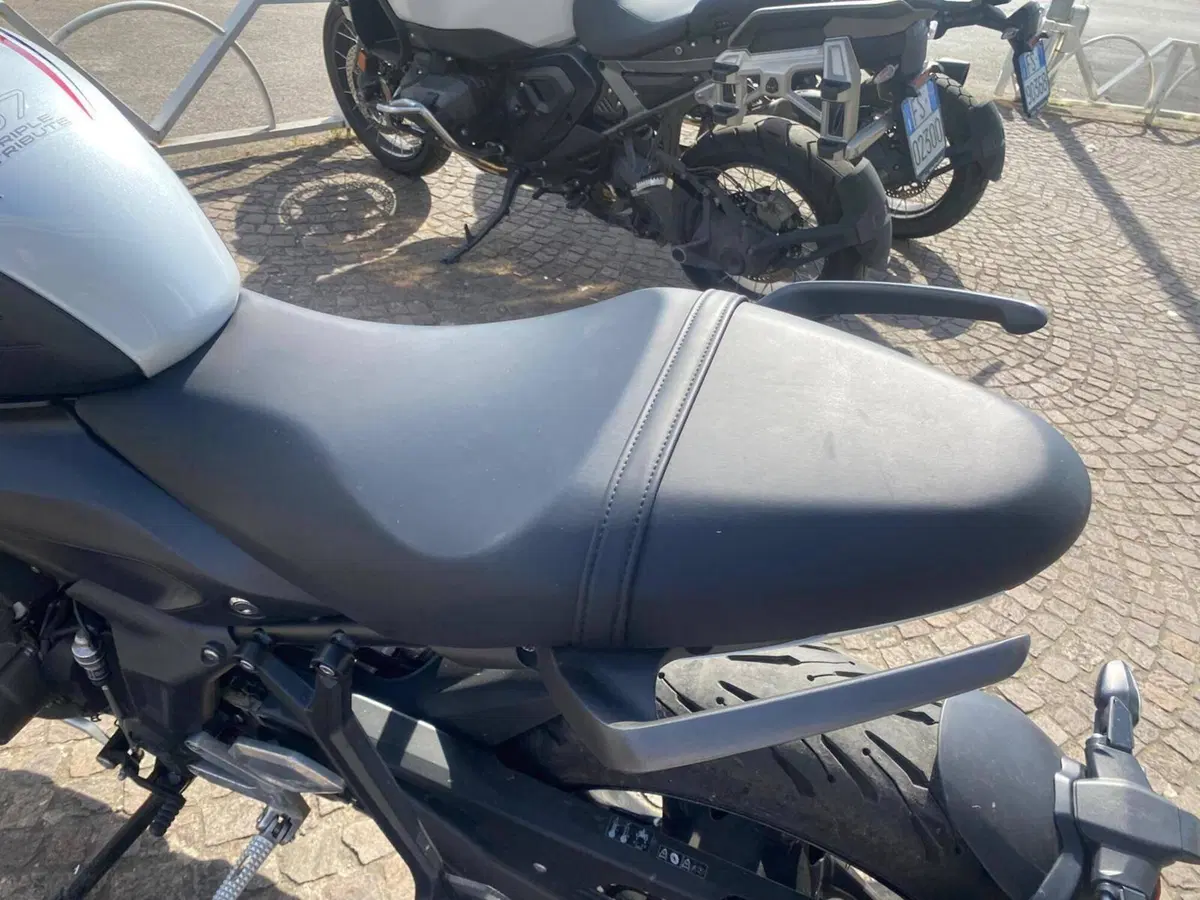 Triumph Trident 660 Triple Tribute Edition (2024) (8)