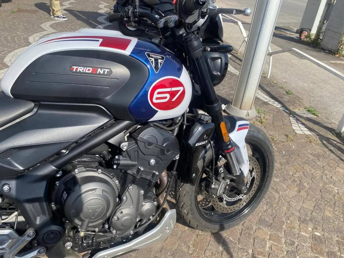 Triumph Trident 660 Triple Tribute Edition (2024) (9)