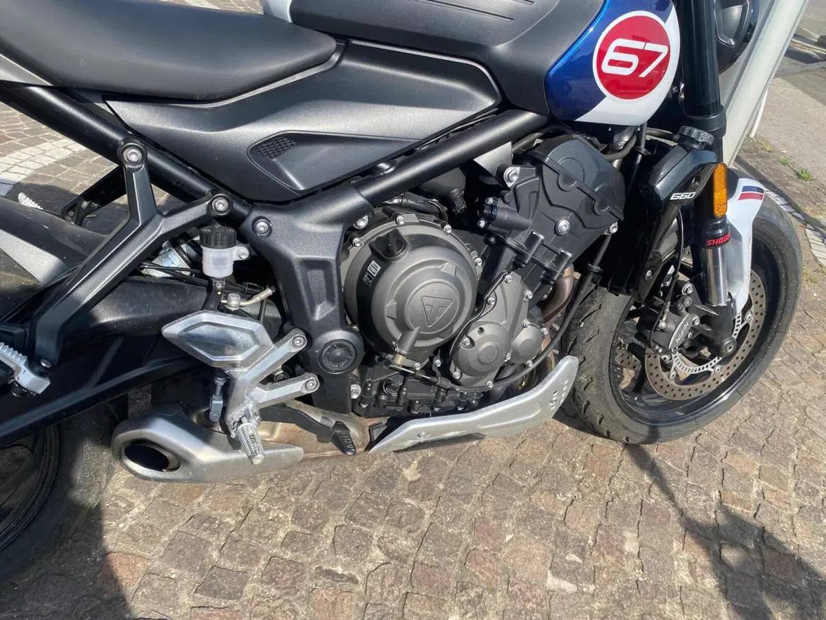 Triumph Trident 660 Triple Tribute Edition (2024) (10)